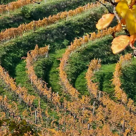 Wine & Art Jeruzalem