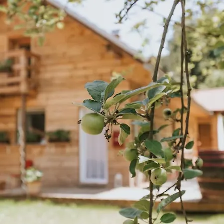 Ferienhaus Wine&art Jeruzalem *