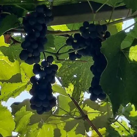 Wine & Art Jeruzalem *